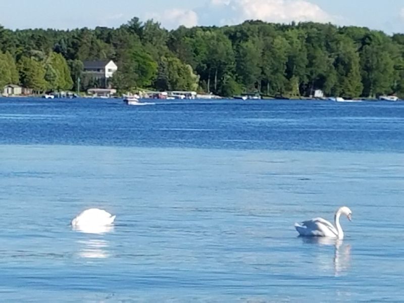 Mornings Shaped By Lake Air And Silence
