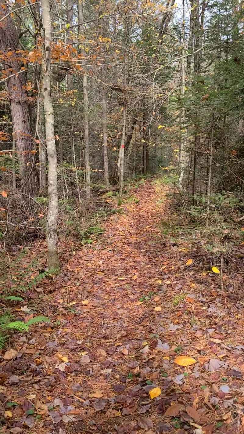 Long Trail Systems Built For All-Day Hiking