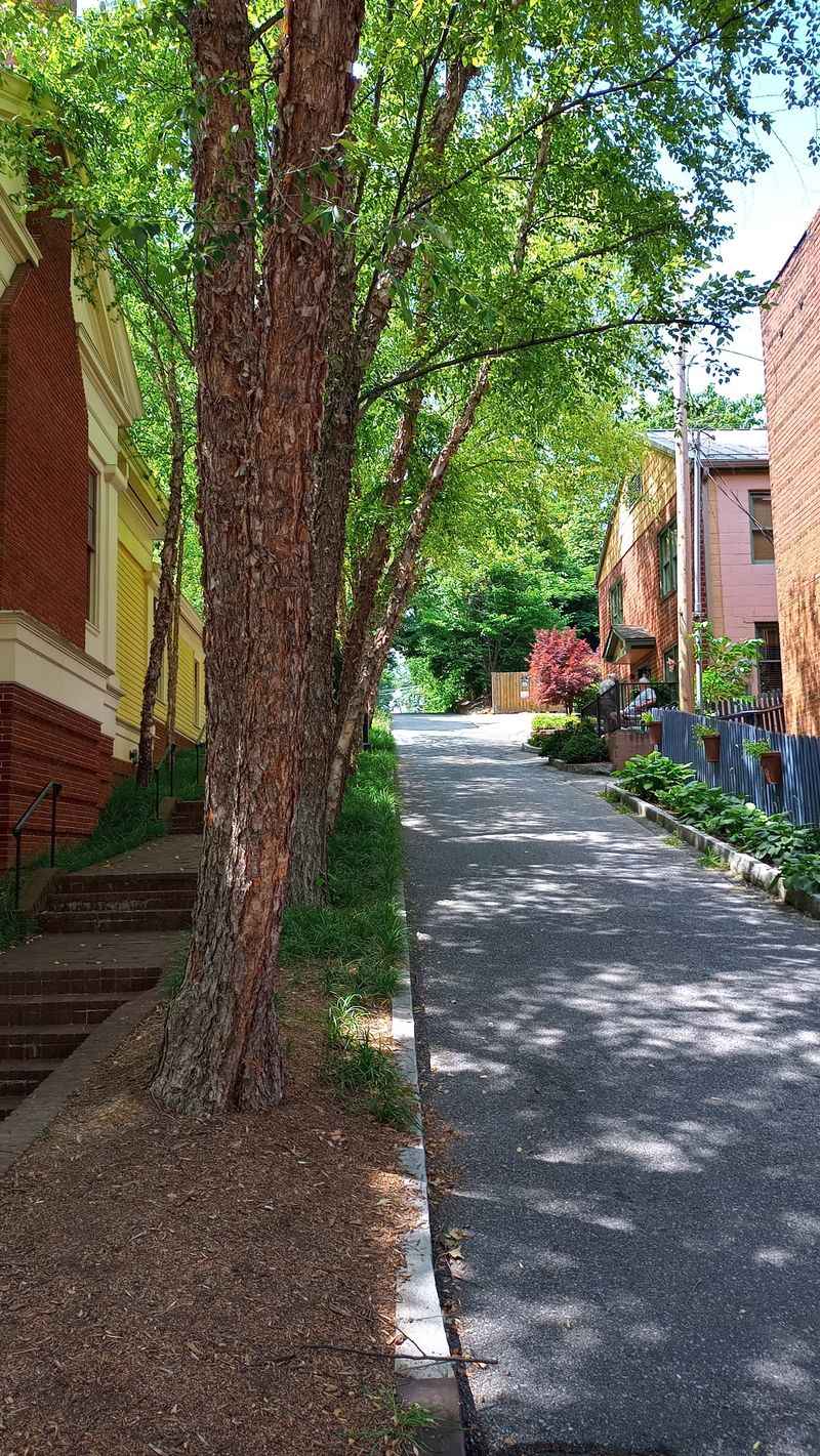 Low Traffic And Quiet Streets Set The Pace For Everyday Life