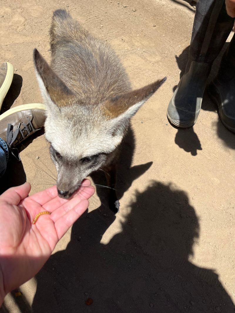 One Of The Few Places In The State Where Visitors Meet Otters Up Close