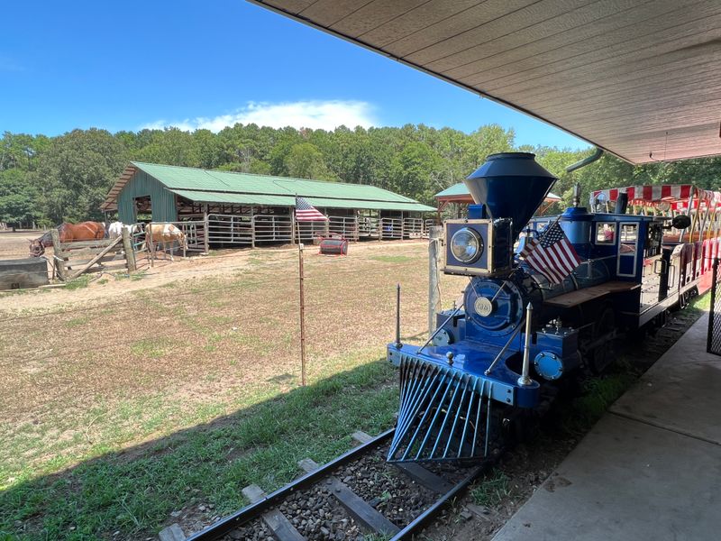Step Back In Time With The Charming Train Ride