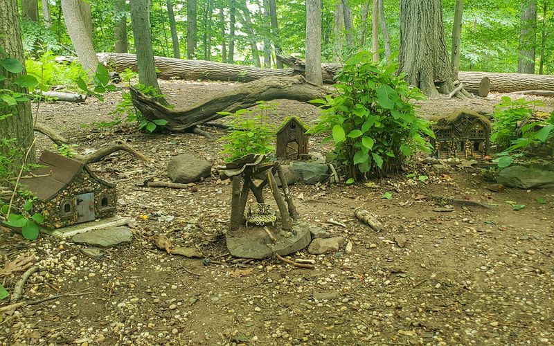 Get Lost In The Fairy Forest