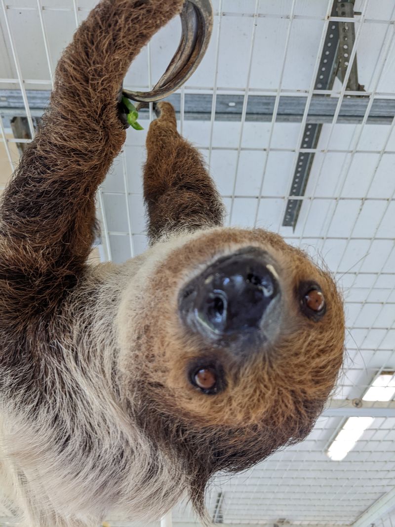 More Than 100 Exotic Animals From Around The World