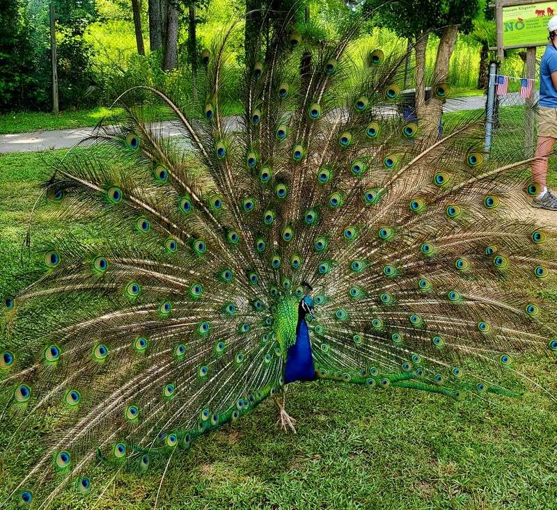 Home To Rare And Endangered Animals