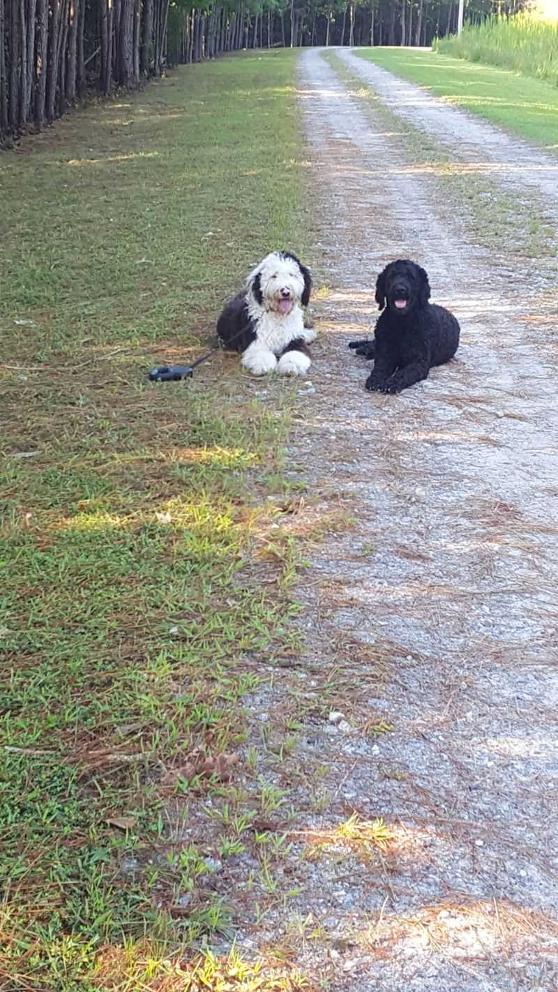 Minimal Traffic And Easy Everyday Living