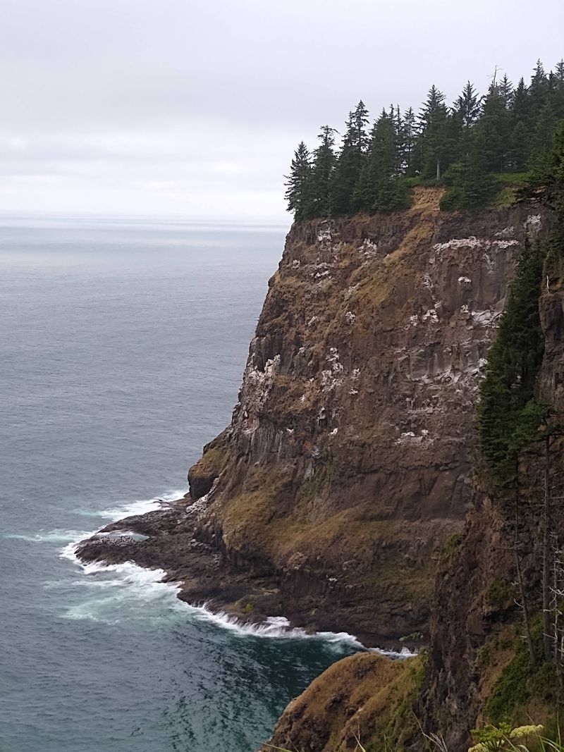 Forested Trails That Lead Straight To The Ocean
