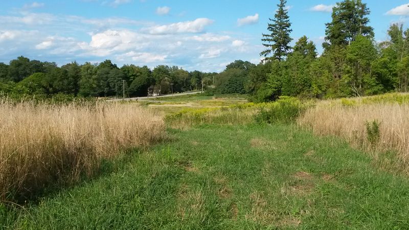 Quiet Beaches And Serene Lake Views