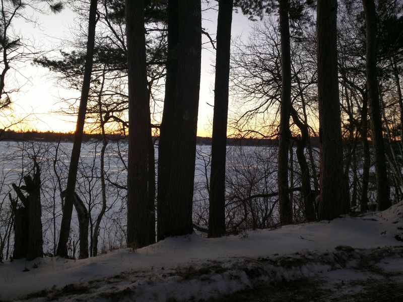 Tall Pines And Clear Water Create Instant Separation From Everyday Life