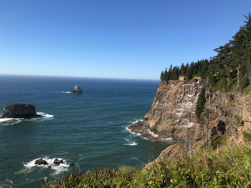 Wildlife Sightings That Reward Patient Visitors