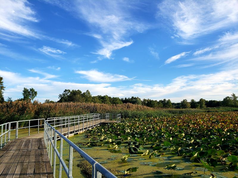 The Best Time Of Day To Visit