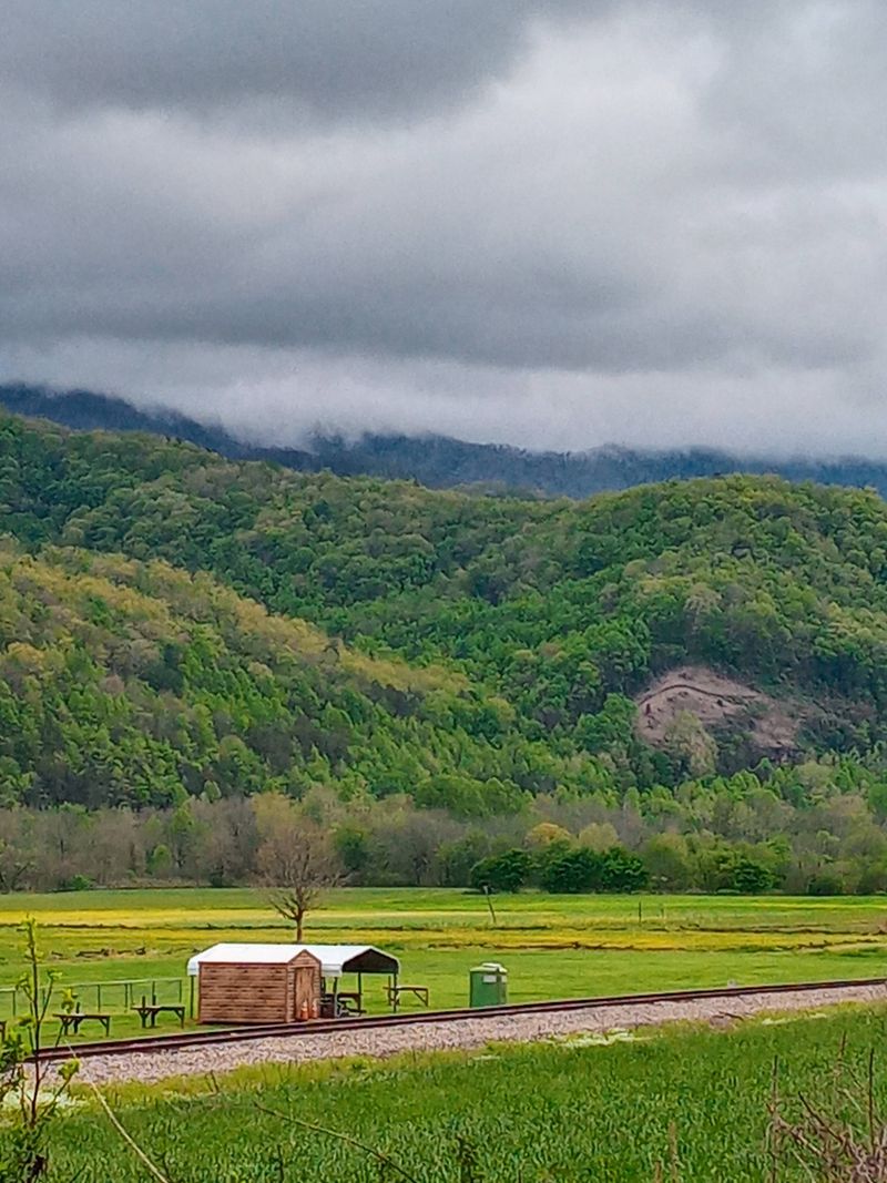 A Rare Town Where Wildlife Still Feels Close