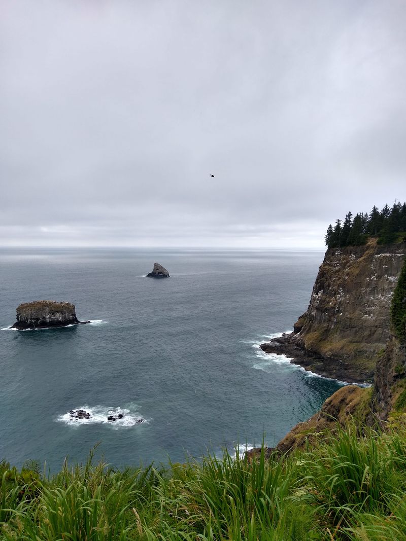Dramatic Ocean Cliffs And Headlands With Minimal Foot Traffic