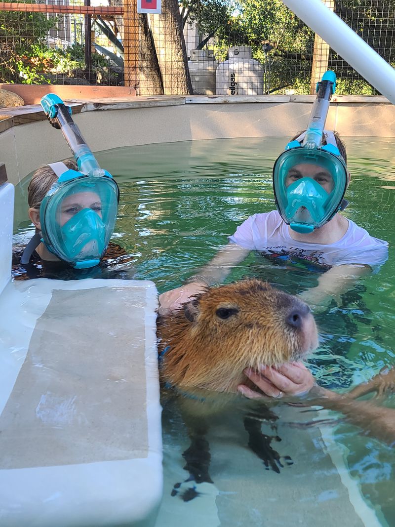 Why Wildlife Enthusiasts Seek Out This Little-Known Spot