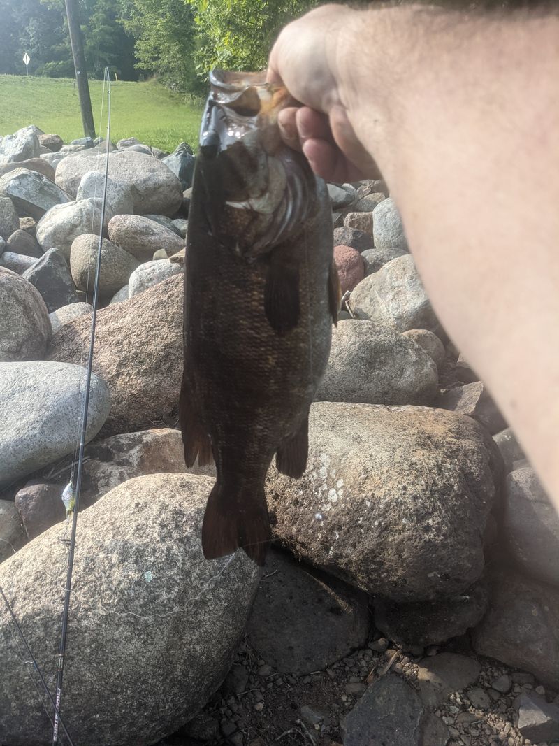 Why Moose Lake Still Feels Undiscovered In Wisconsin's Northwoods