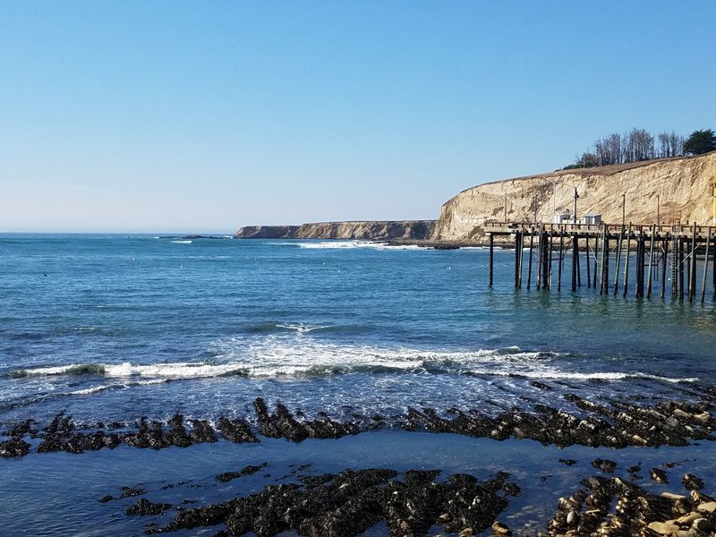 Why Most Travelers Skip Point Arena