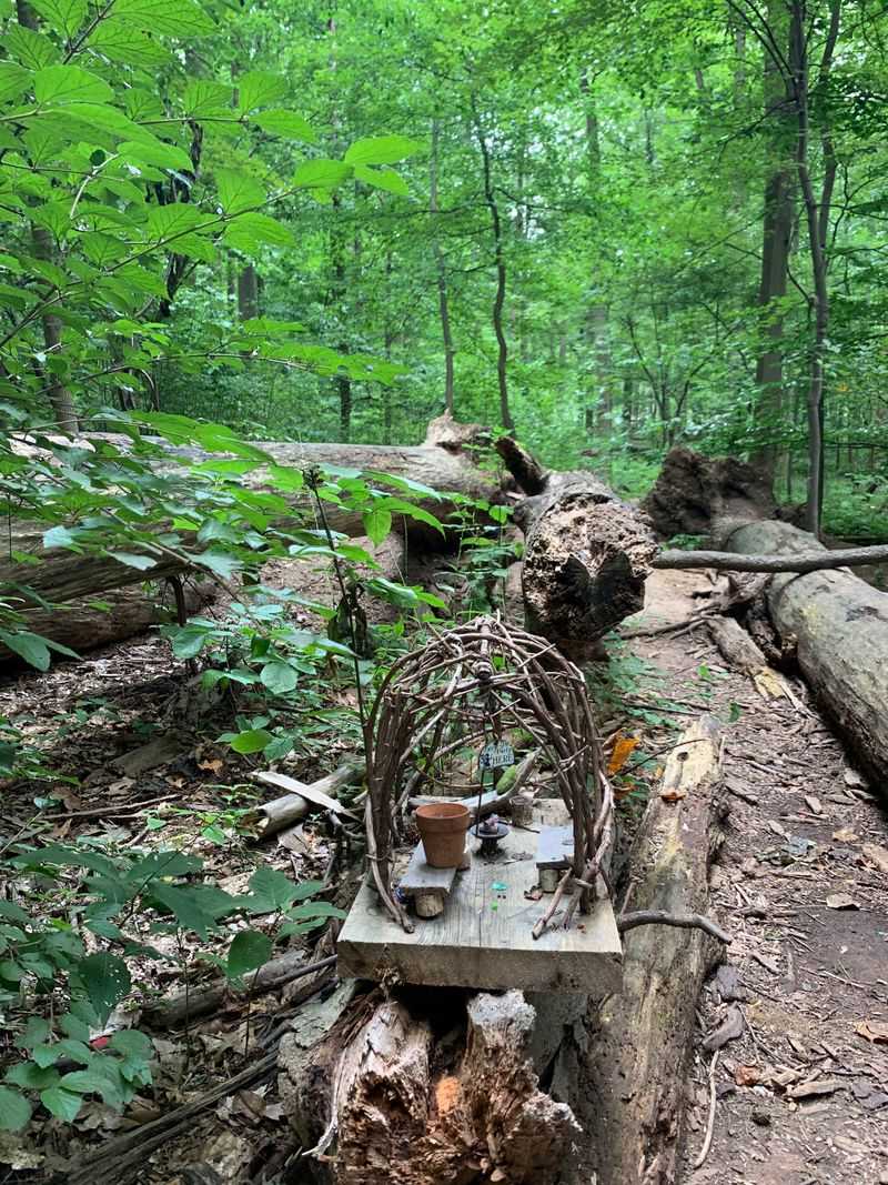 The Perfect Spot For Daydreamers