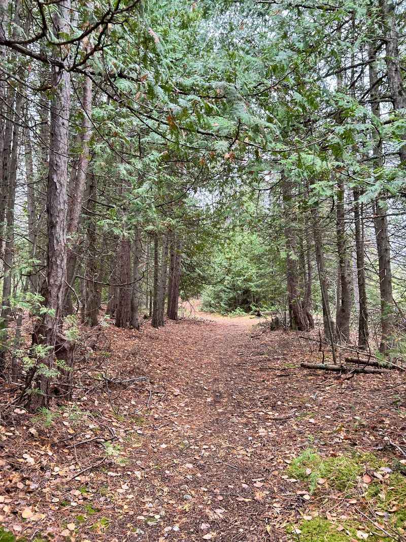 How Remote Access Keeps This Park Peaceful