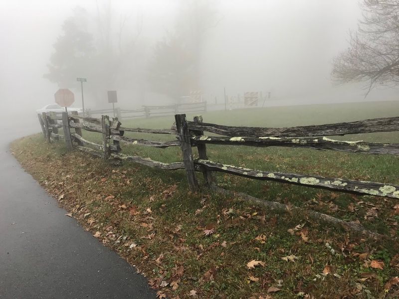 A Place That Feels Discovered Only By Those Who Stay