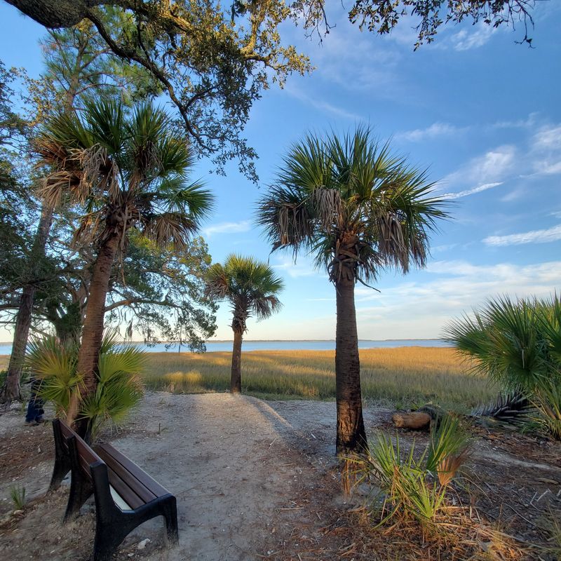 Marsh Views Are Part Of Everyday Life