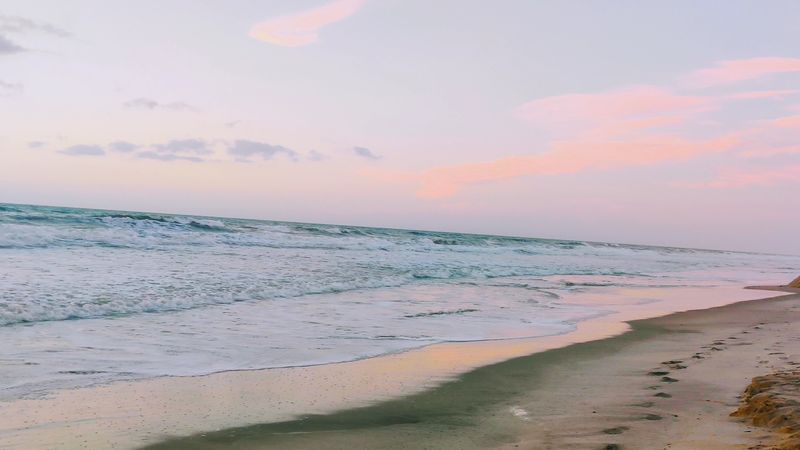 A Beach Where Sea Turtles Still Nest Every Summer