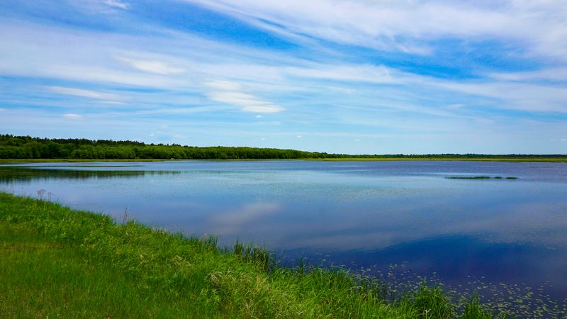 Even Summer Feels Calm Here