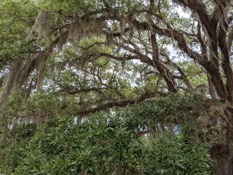 The Lost Art Of Hammock-Lounging On Pawleys Island