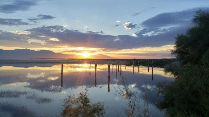 The Salton Sea's Secret: North Shore's Haunting Charm