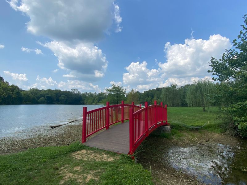 Vibrant Downtown With Shops And Cafes