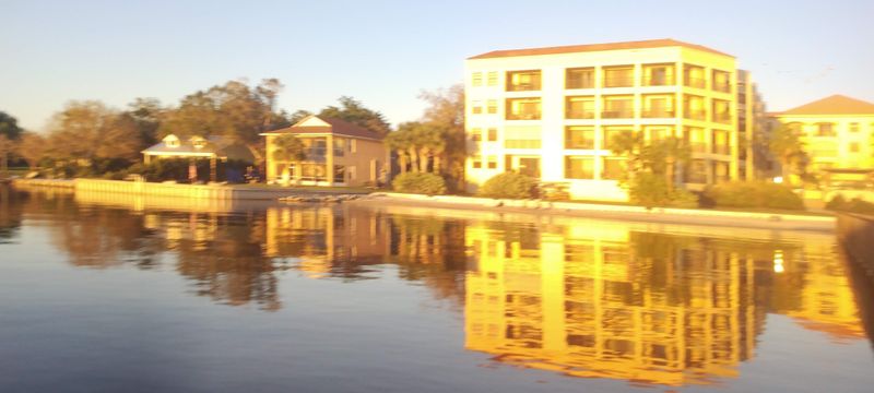 Quiet Living With Modern Essentials