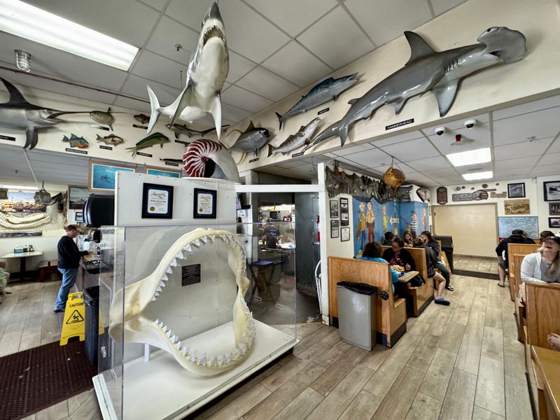 A Local Favorite Featured In The Media