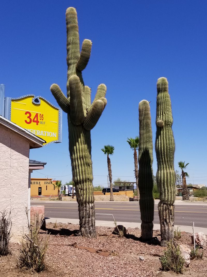 Gila Bend