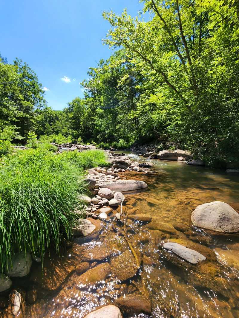 Esopus Creek As Daily Companion