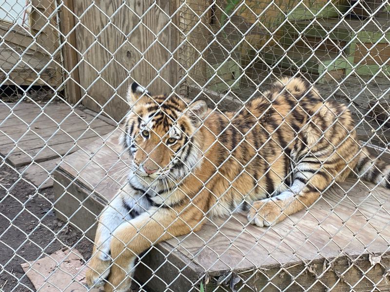 Tours Focus On Conservation