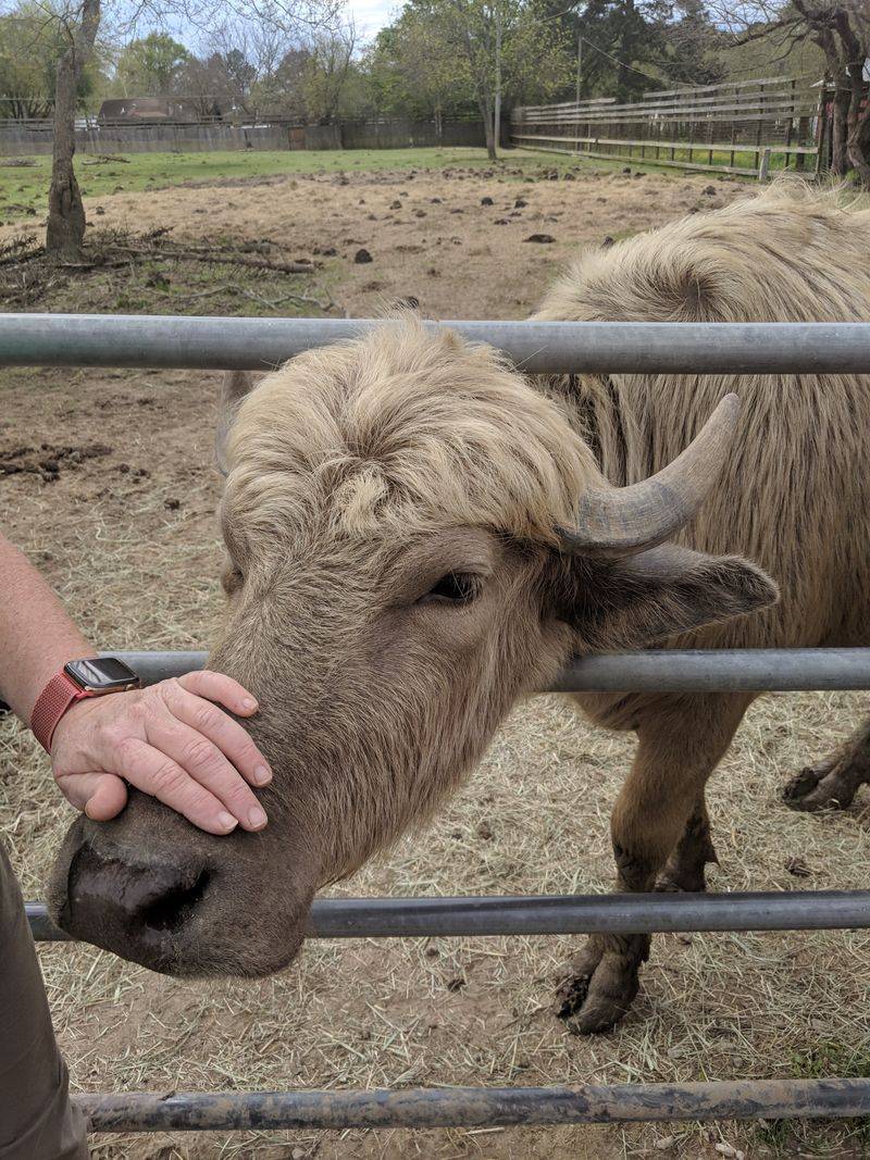 A Hands-On Approach To Wildlife Education And Conservation