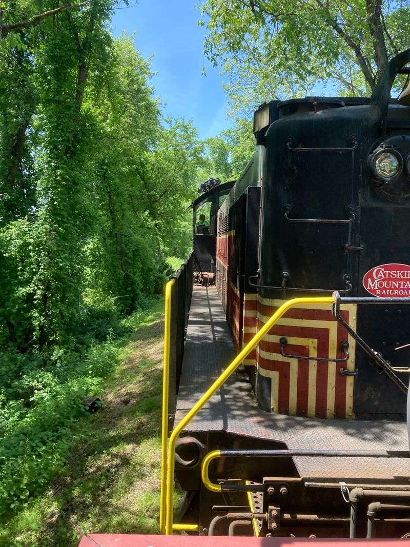 Catskill Mountain Railroad: Esopus Creek Views