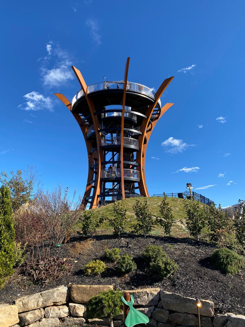 Zipline Views And A Dash Of Nerve