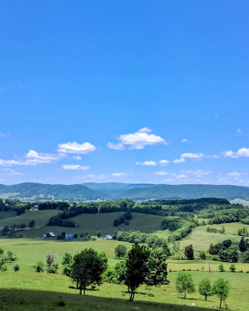 Garden Mountain Cluster