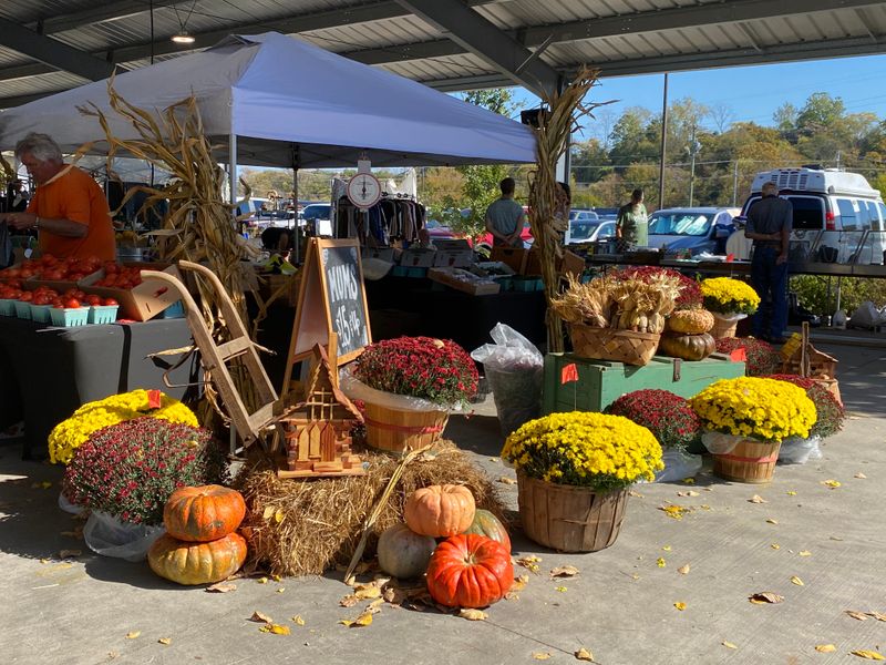 Seasonal Themes Shape What You Find