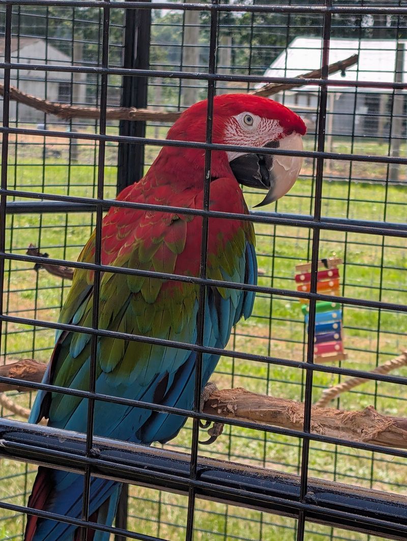 Why Visitors Cannot Help But Be Awed By The Animals