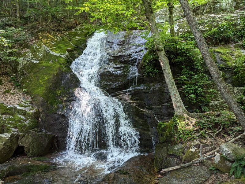 Dismal Creek Area (George Washington & Jefferson National Forests)