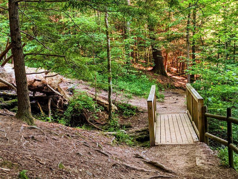 A Trail System Built For Steady Discovery