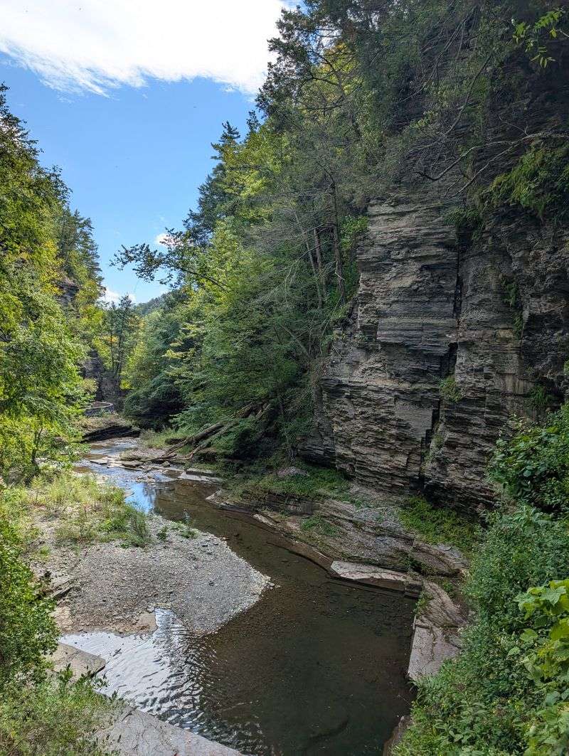 Robert Treman Rim Trail — Ithaca