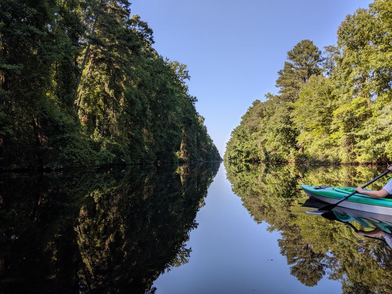 Dismal Swamp Canal