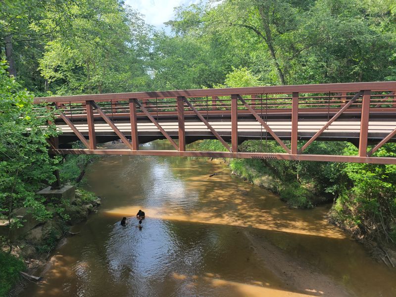 Lake Houston Wilderness Park Trails (New Caney)