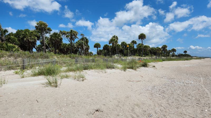 Edisto Beach State Park