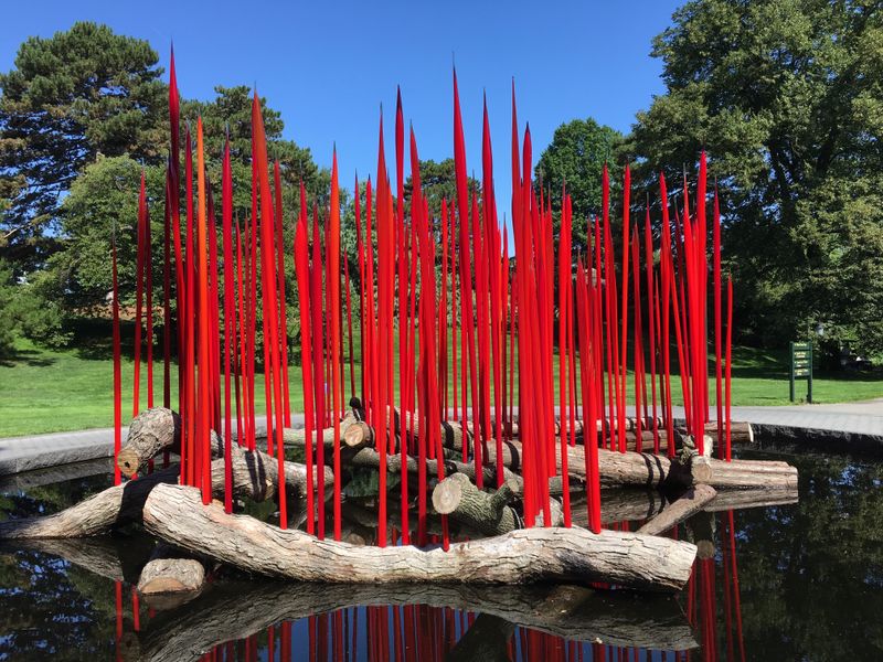 What You Notice Up There