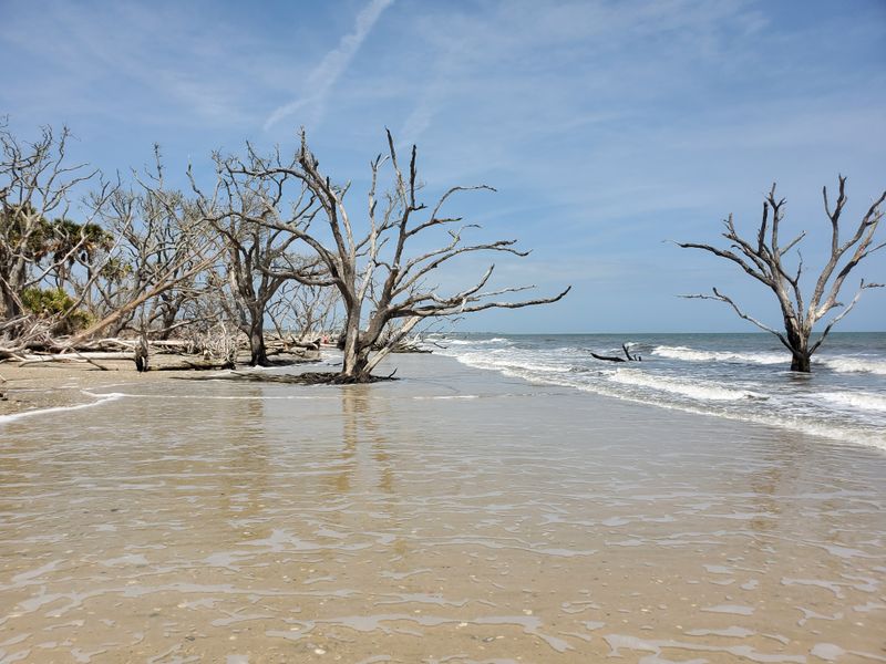 Botany Bay Plantation Heritage Preserve (Boneyard Beach)