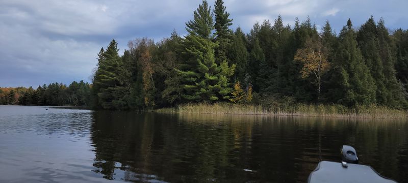 Pine Forests Wrap The Shoreline In Total Calm