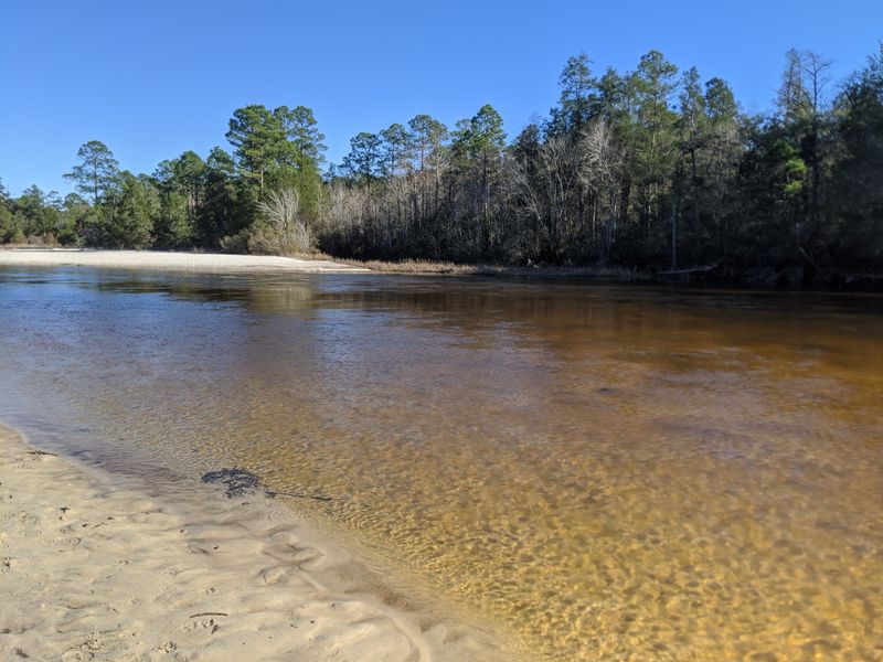 Blackwater River State Park