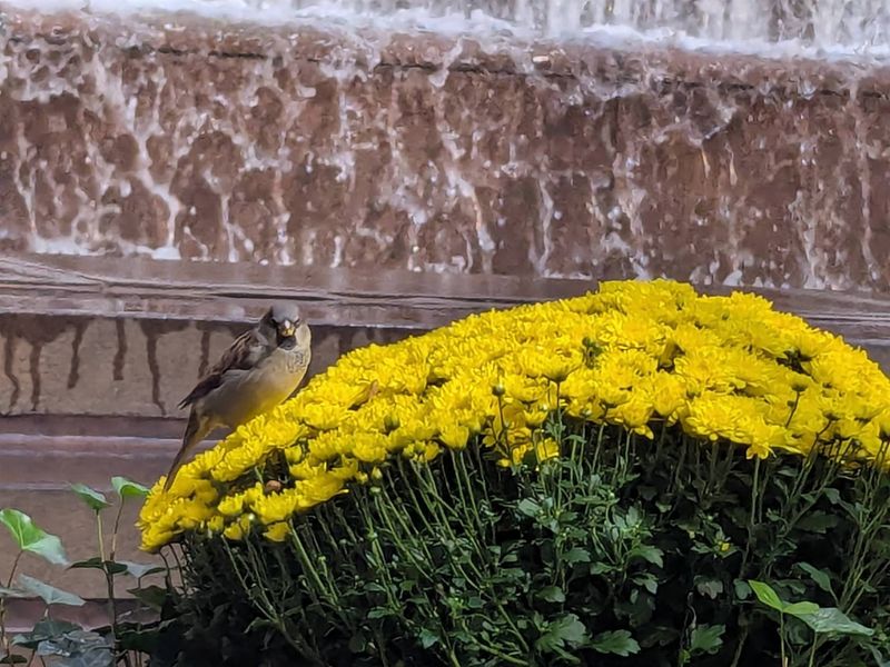 Design Origins And A Measured Legacy